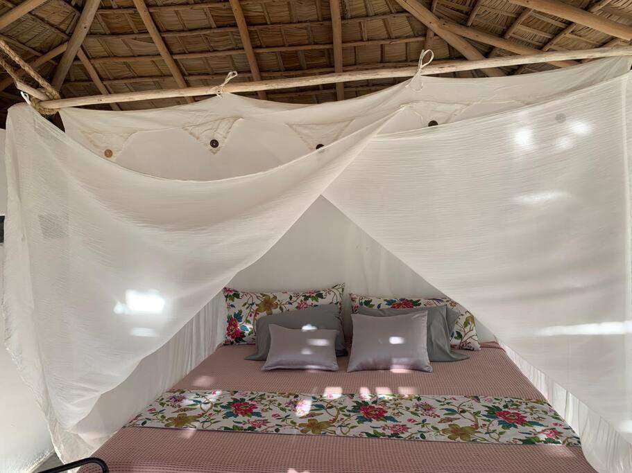 Studio El Quiosco Avec Jacuzzi Las Terrenas Eksteriør bilde